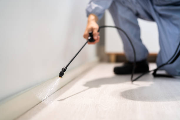 Licensed Cockroach Control service in Montgomery, WV - Nex Pest Control