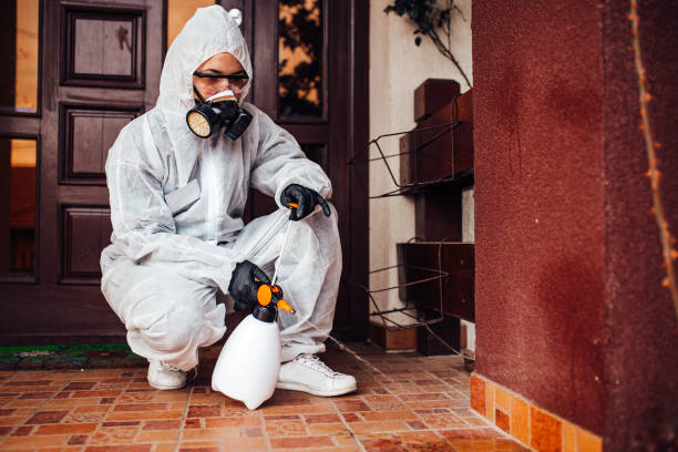 Reliable Cockroach Control contractor in Montgomery, WV by Nex Pest Control